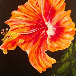 Hibiscus painted by 