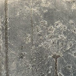 Berenklauw painted by 