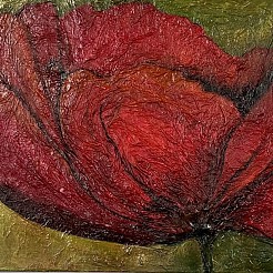 Papaver painted by 