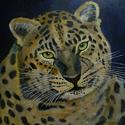 Panter painted by 