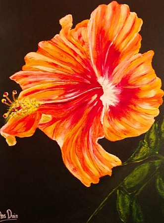 Hibiscus painted by AnsDuinArt.nl