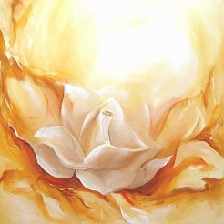 White rose painted by Elra Heus